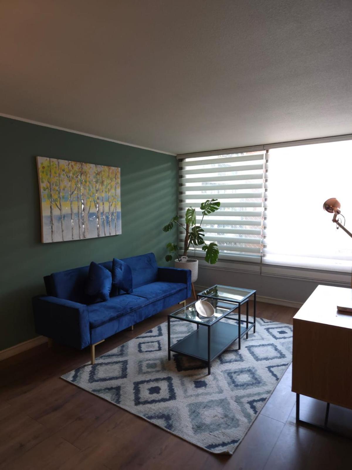 Excelente Ubicacion Y Comodidad A Pasos Providencia Apartamento